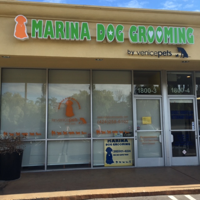 dog grooming home service